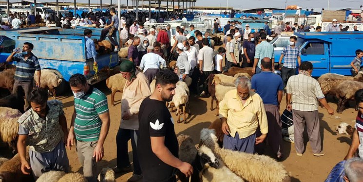 میدان فروش دام گنبدکاووس